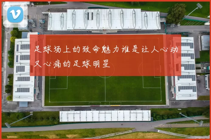 足球场上的致命魅力谁是让人心动又心痛的足球明星