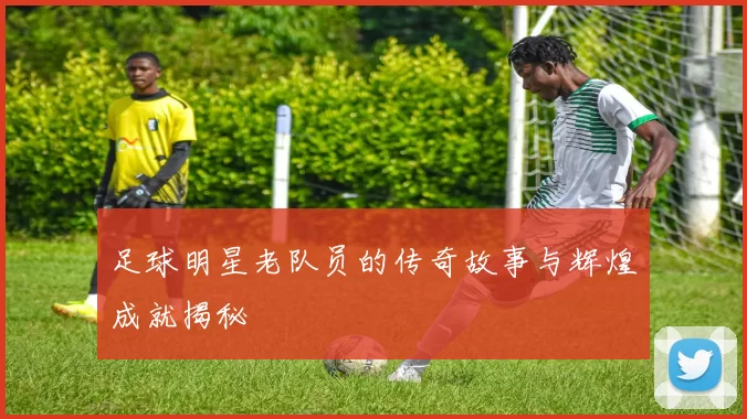 足球明星老队员的传奇故事与辉煌成就揭秘