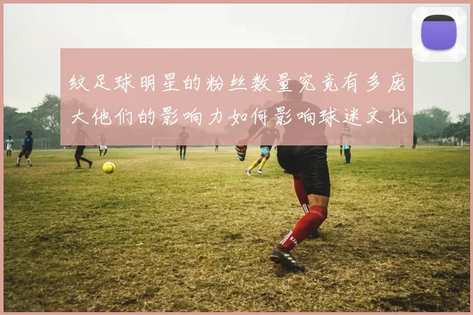 纹足球明星的粉丝数量究竟有多庞大他们的影响力如何影响球迷文化