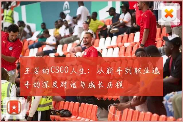 王芳的CSGO人生：从新手到职业选手的深度对话与成长历程