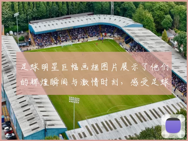 足球明星巨幅画框图片展示了他们的辉煌瞬间与激情时刻，感受足球的魅力与热血沸腾的竞技精神