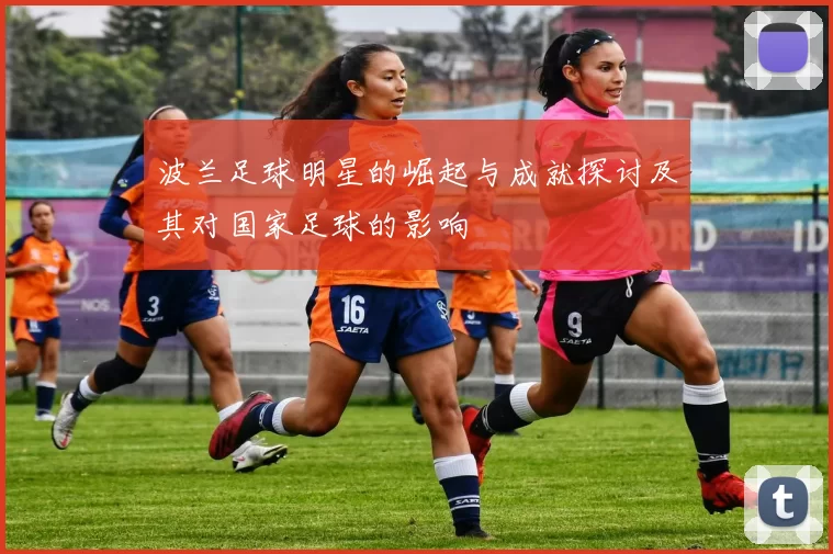 波兰足球明星的崛起与成就探讨及其对国家足球的影响