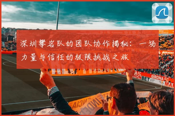 深圳攀岩队的团队协作揭秘：一场力量与信任的极限挑战之旅