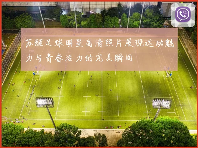 苏醒足球明星高清照片展现运动魅力与青春活力的完美瞬间