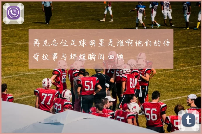 再见各位足球明星是谁啊他们的传奇故事与辉煌瞬间回顾