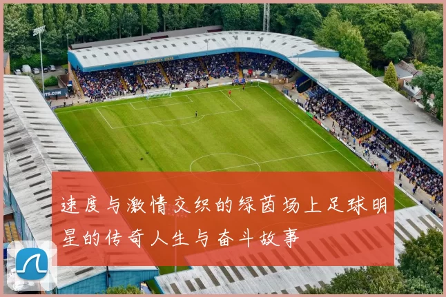 速度与激情交织的绿茵场上足球明星的传奇人生与奋斗故事