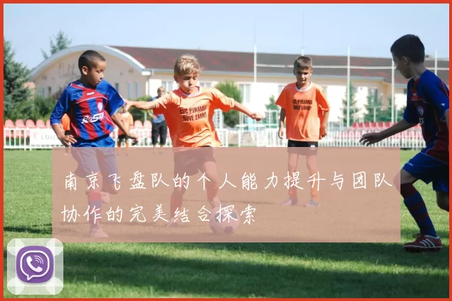 南京飞盘队的个人能力提升与团队协作的完美结合探索