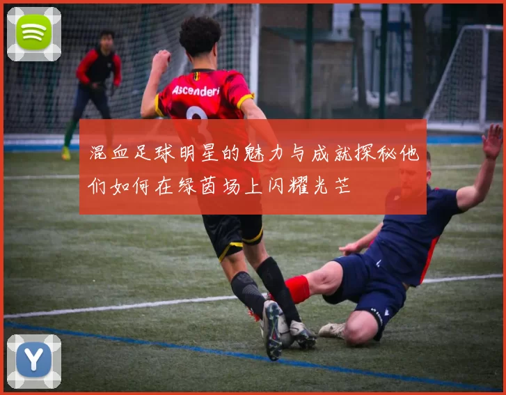 混血足球明星的魅力与成就探秘他们如何在绿茵场上闪耀光芒