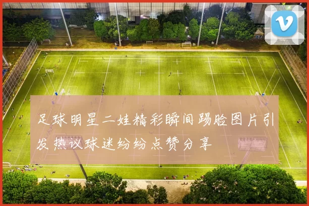 足球明星二娃精彩瞬间踢脸图片引发热议球迷纷纷点赞分享