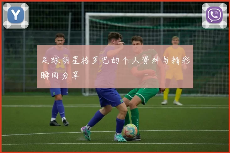 足球明星格罗巴的个人资料与精彩瞬间分享