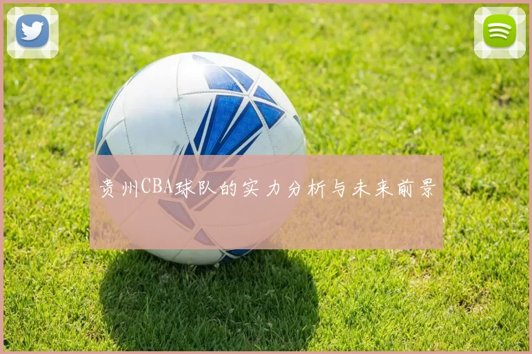 贵州CBA球队的实力分析与未来前景
