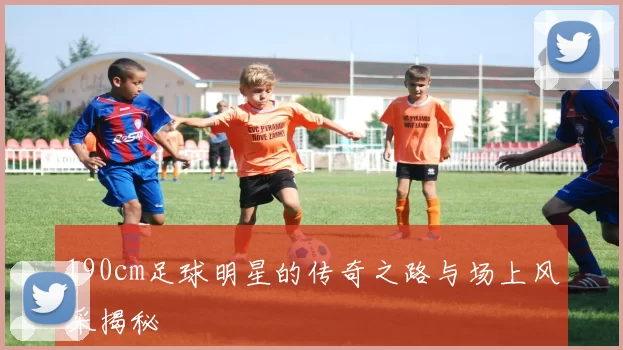 190cm足球明星的传奇之路与场上风采揭秘